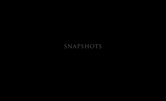 about: snapshots title page, and link to: snapshots30
