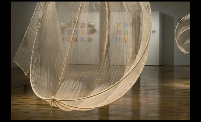 image: a delicate balance / Elements (installation), 2009, 701 Center for Contemporary Art, Columbia, SC, and link to: installation 701cca4