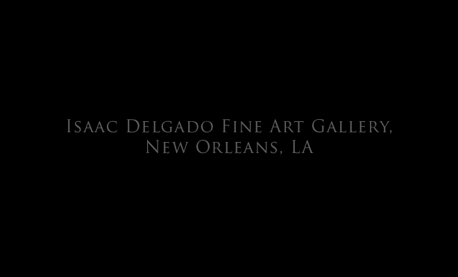 Isaac Delgado Fine Art Gallery, New Orleans, LA title page, and link to: installation: Delgado1