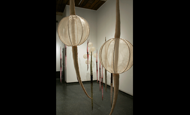 installation image: Gentle Gasps, Points of Reference and 7 Sisters, 2013, The Front Gallery, New Orleans, LA